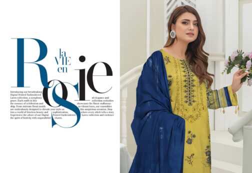 Nisha Designer