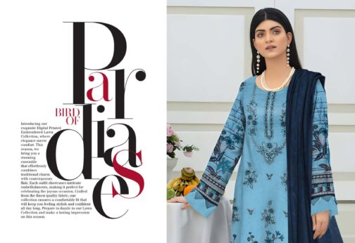 Nisha Designer